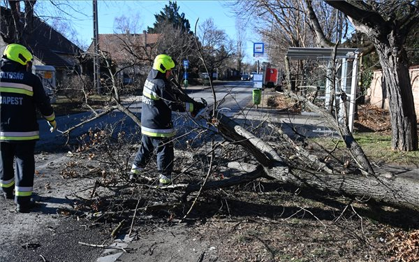 Letört faágak, kidőlt fák miatt kérték a tűzoltók segítségét